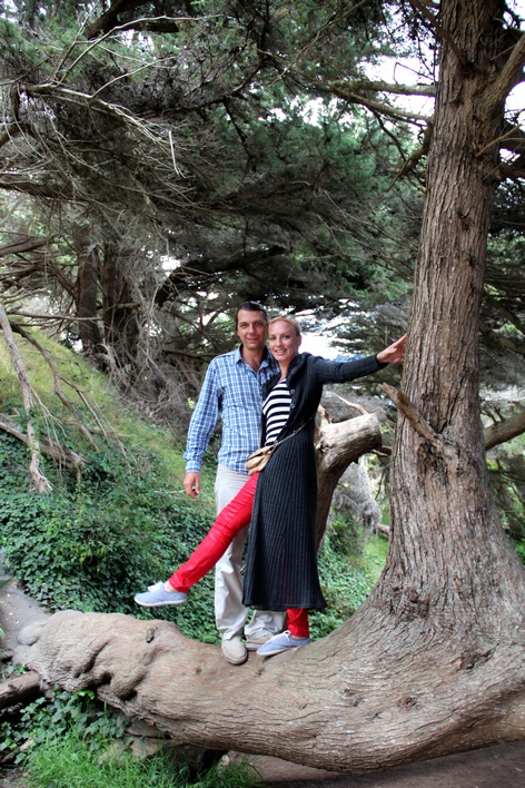 ���-���������